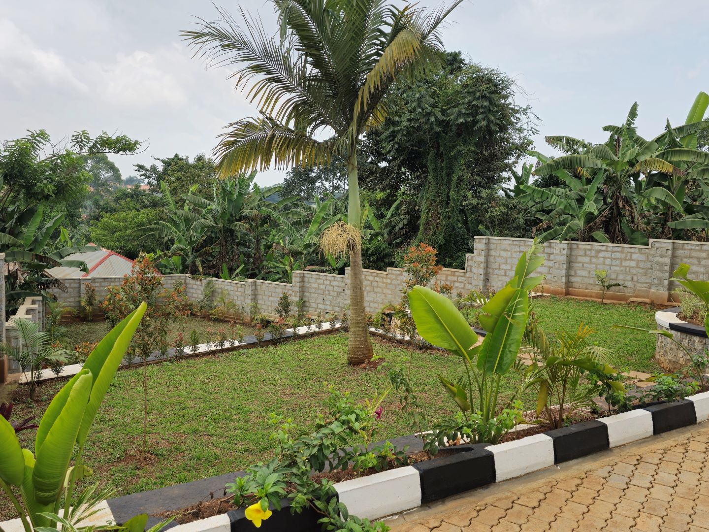 property-2